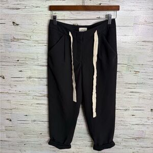 Aritzia Wilfred Free Allant Pant gray size 00